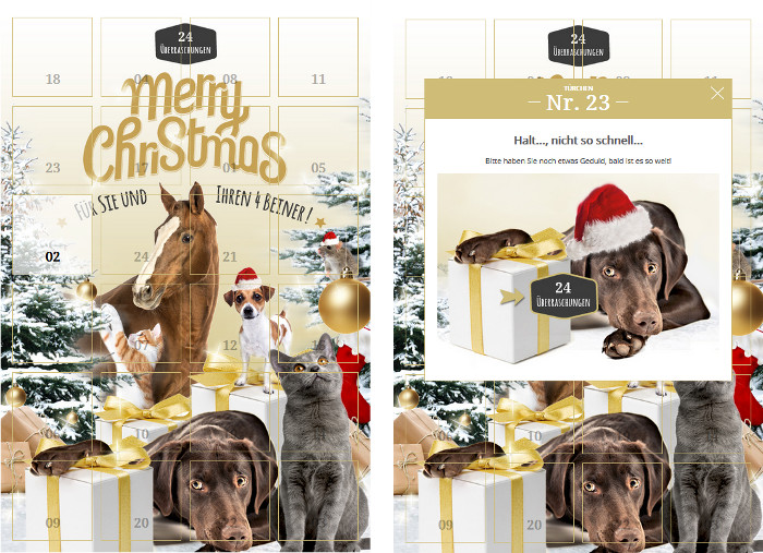 Screenshots des pets-Premium-Adventskalenders